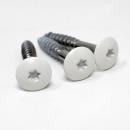 Fassadenschraube 4,8x38mm 0085 NT