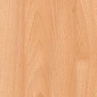Laminat 1mm MAX 0157 NA Obirbuche gepl.