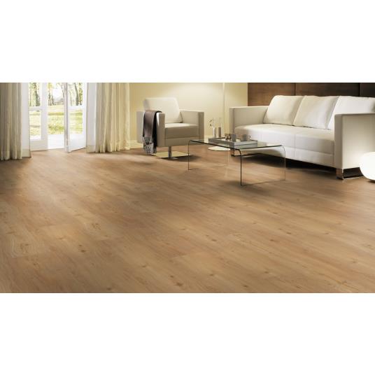 Tilo Eiche Nox Ambiente